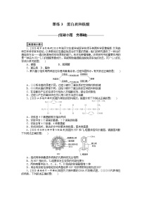 2022 新高考【专题训练3】第一单元 细胞的分子组成--蛋白质和核酸（含答案解析）