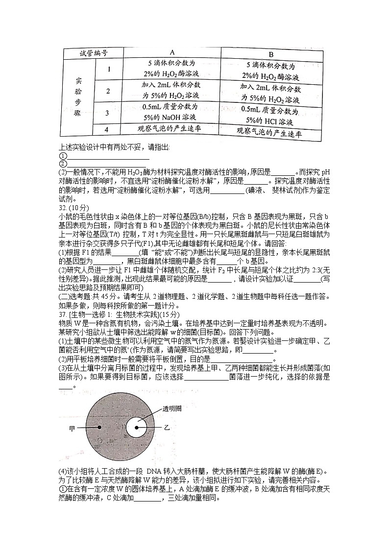 贵州省毕节市2021-2022学年高三下学期2月诊断性考试（二）（二模）理科综合生物试题含答案第3页