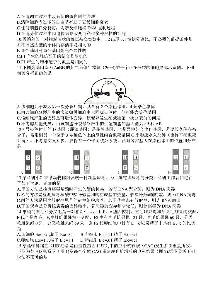 陕西省咸阳市2022届高三下学期第一次模拟生物试题 word第3页