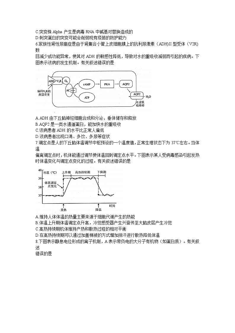 江苏省苏北四市（徐州）2021-2022学年高三上学期期末调研考试（一模）生物试题含答案第2页