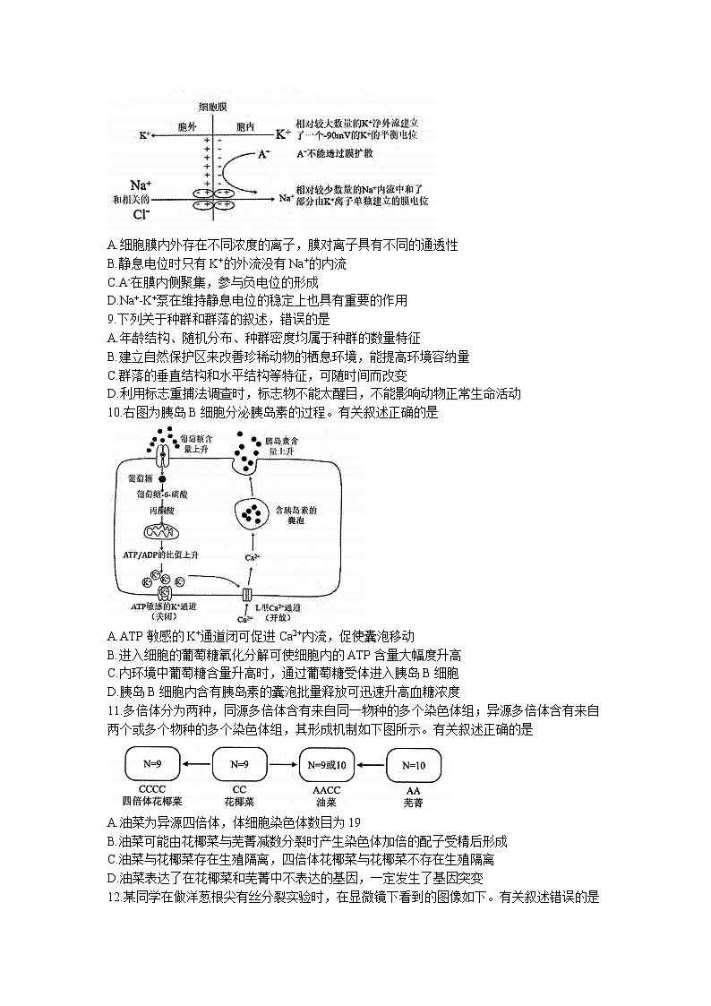 江苏省苏北四市（徐州）2021-2022学年高三上学期期末调研考试（一模）生物试题含答案第3页