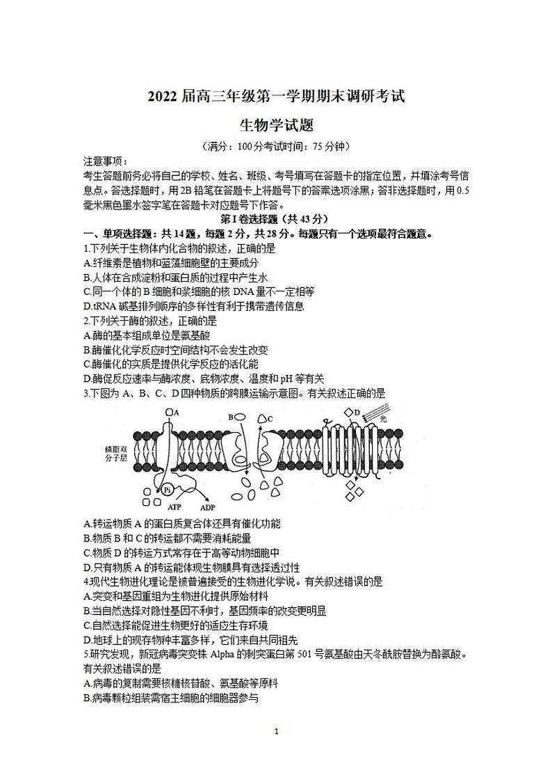 江苏省苏北四市（徐州、淮安、宿迁、连云港）2021-2022学年高三上学期期末调研考试（一模）生物试题含答案01