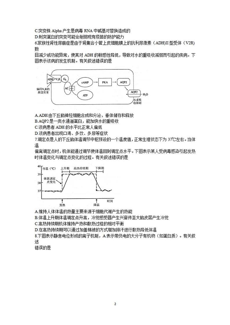 江苏省苏北四市（徐州、淮安、宿迁、连云港）2021-2022学年高三上学期期末调研考试（一模）生物试题含答案02