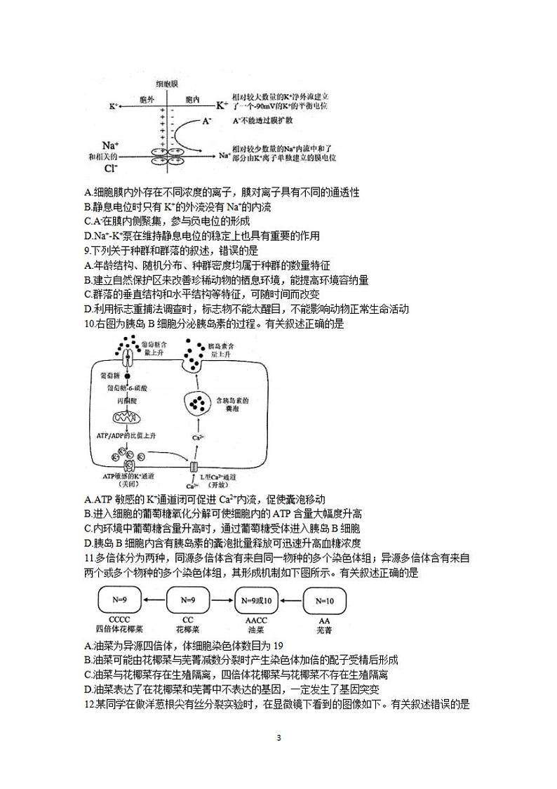 江苏省苏北四市（徐州、淮安、宿迁、连云港）2021-2022学年高三上学期期末调研考试（一模）生物试题含答案03