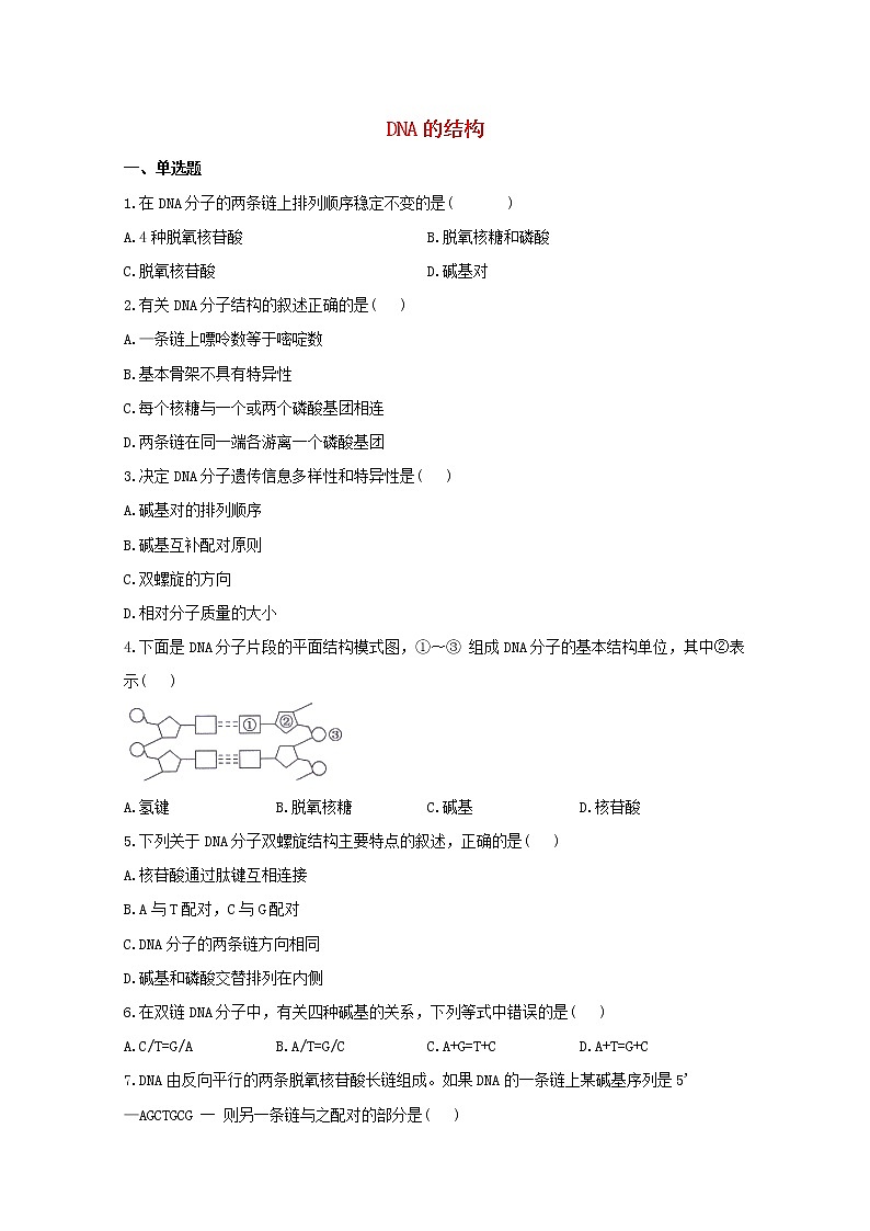 高中生物暑假作业07DNA的结构基础训练含解析第1页
