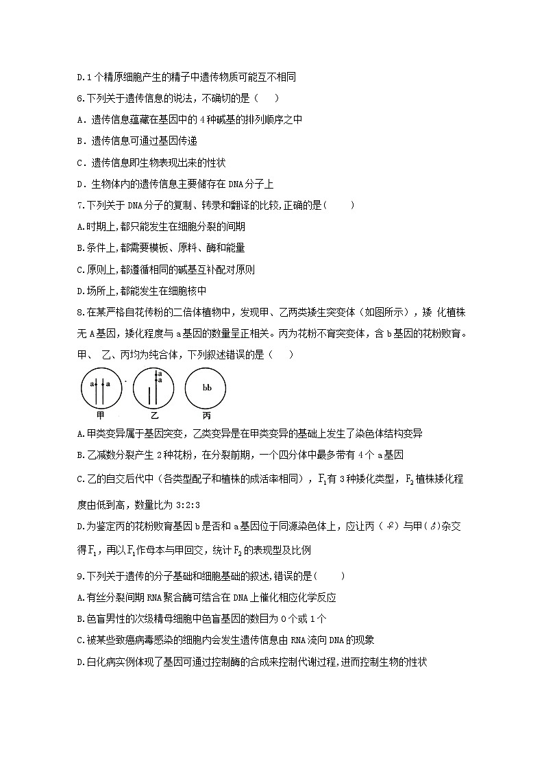 高中生物暑假作业20专项训练二遗传的分子基础综合基础训练含解析02
