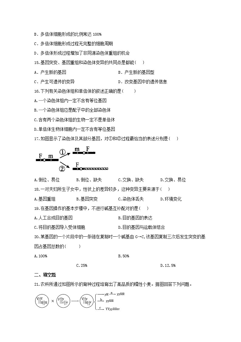 高中生物暑假作业21专项训练三生物的变异与育种综合基础训练含解析第3页