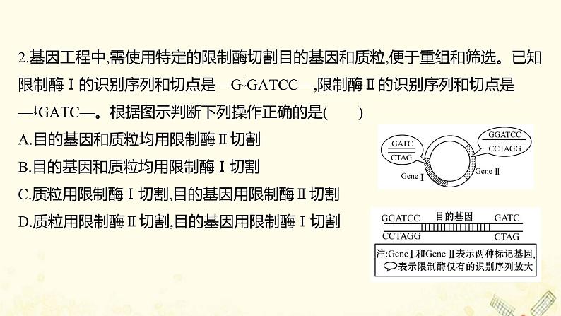 高中生物专题1基因工程单元练习课件新人教版选修303