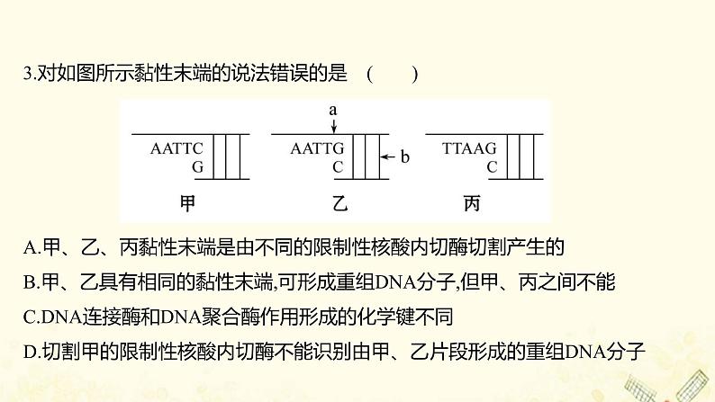 高中生物专题1基因工程单元练习课件新人教版选修305