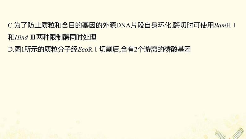 高中生物专题1基因工程单元练习课件新人教版选修308