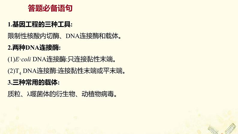 高中生物专题1基因工程模块提升课课件新人教版选修3第2页