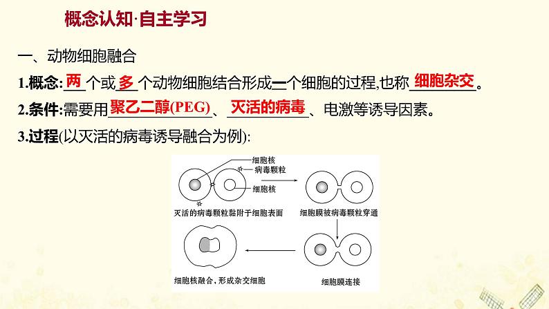 高中生物专题2细胞工程2.2动物细胞融合与单克鹿体课件新人教版选修303