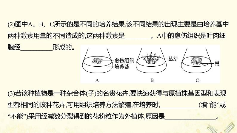 高中生物专题2细胞工程阶段提升课课件新人教版选修305