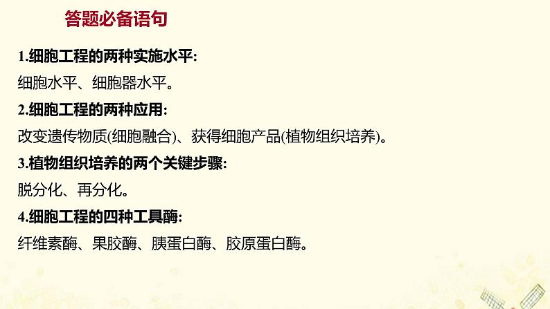 高中生物专题2细胞工程模块提升课课件新人教版选修302