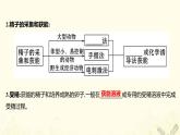 高中生物专题3胚胎工程2体外受精和早期胚胎培养课件新人教版选修3