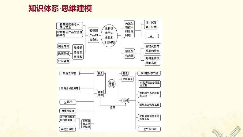 高中生物专题5生态工程阶段提升课课件新人教版选修302