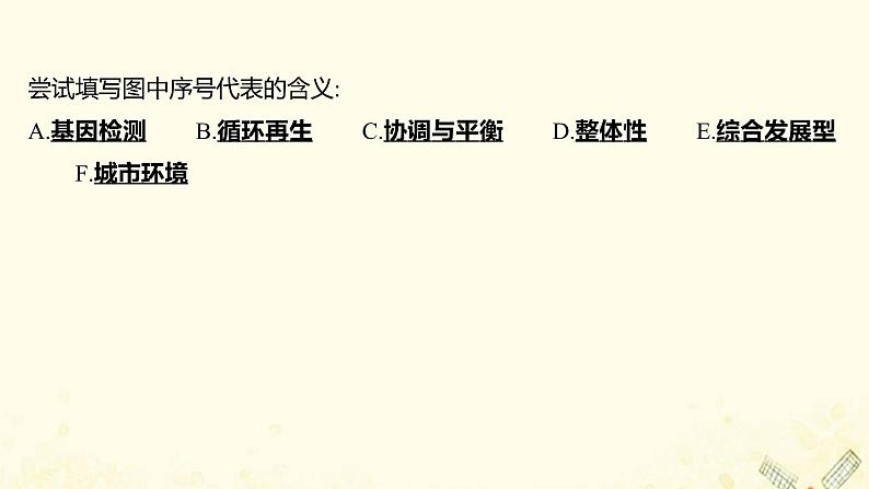 高中生物专题5生态工程阶段提升课课件新人教版选修303