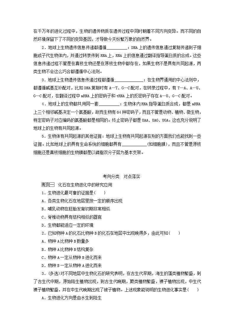 新教材高考生物一轮复习第三单元生物的变异育种与进化4生物的进化学案必修2第2页