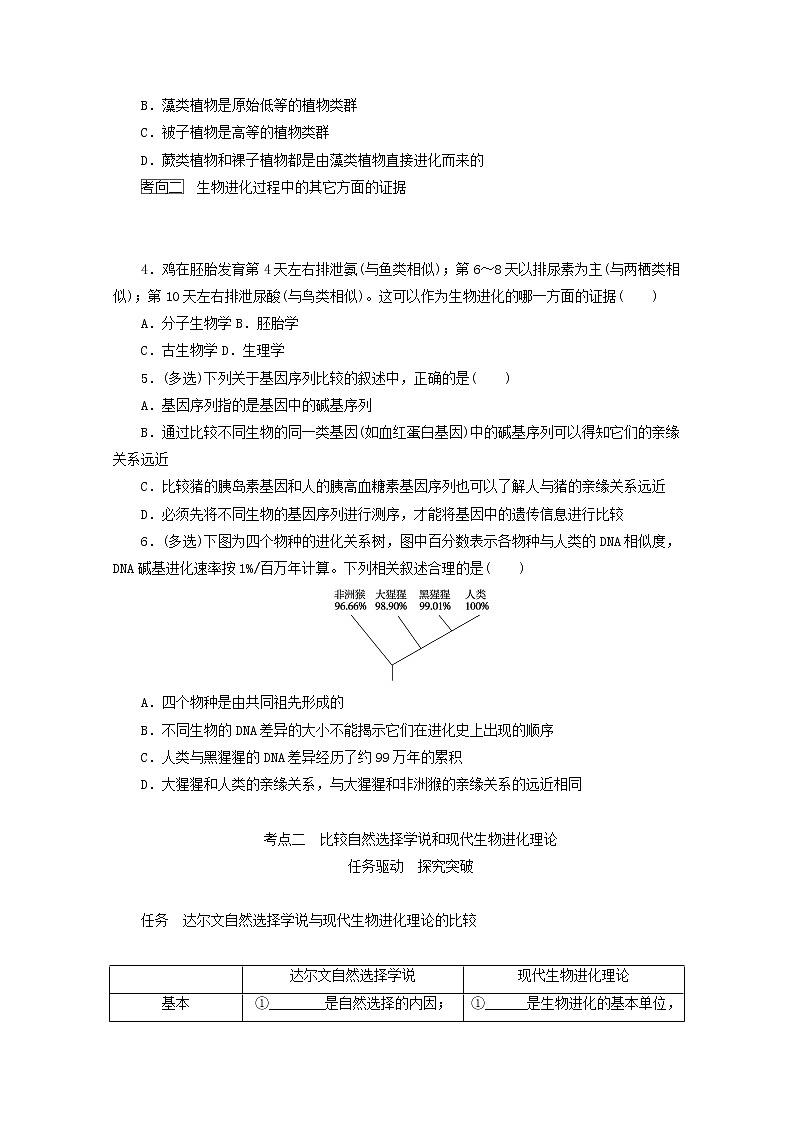 新教材高考生物一轮复习第三单元生物的变异育种与进化4生物的进化学案必修2第3页