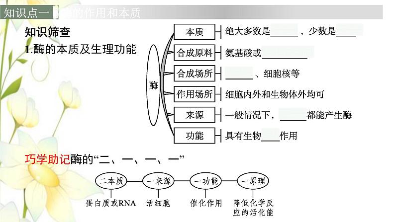 新教材高考生物一轮复习第三单元细胞的能量供应和利用第1讲降低化学反应活化能的酶课件新人教版第6页