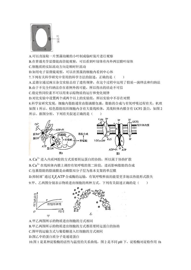 2022届辽宁省名校联盟高三上学期9月联合考试生物试题（PDF版）02