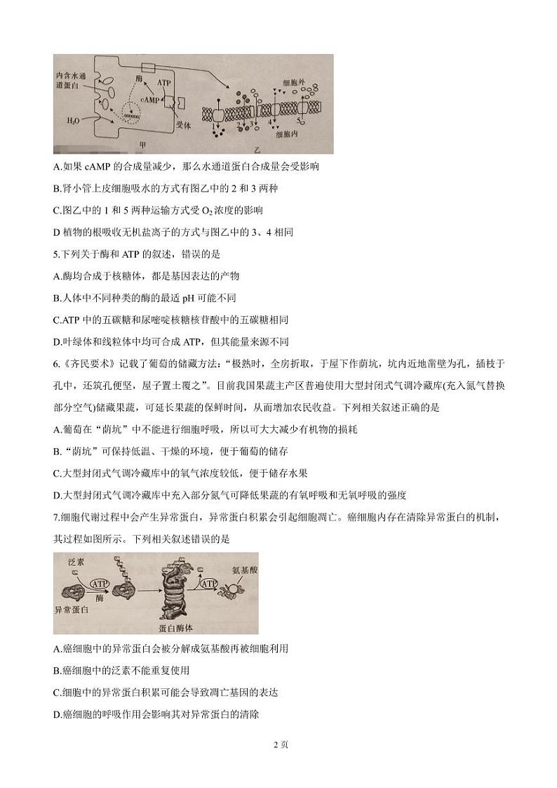 2022届重庆市“好教育联盟”高三上学期9月入学诊断考试 生物（PDF版）练习题第2页