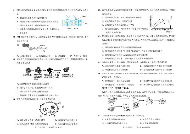 2021-2022学年浙江省绍兴市高一上学期期末调测 生物 PDF版02