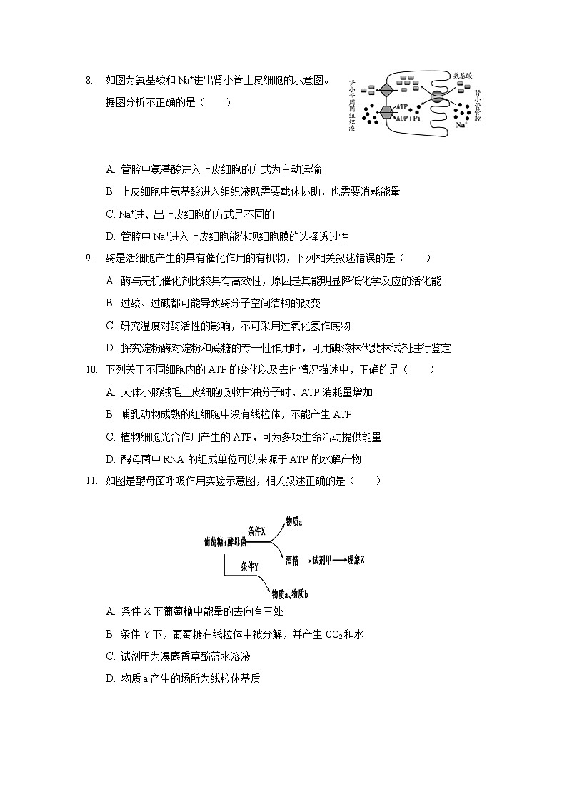 2021-2022学年辽宁省大连市第一中学高一摸底考试生物试卷Word版含解析03