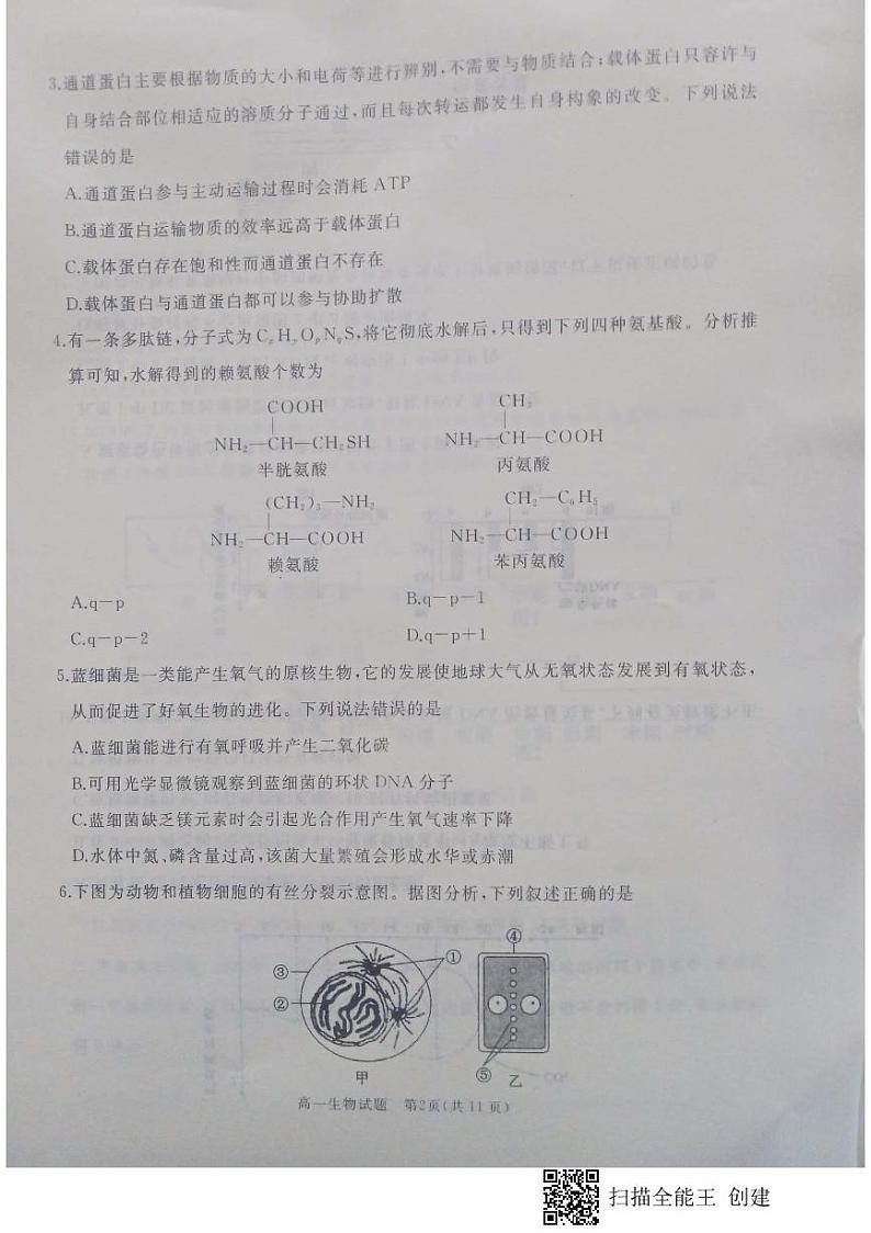 山东省枣庄滕州市2021-2022学年高一上学期期末考试生物试题第2页