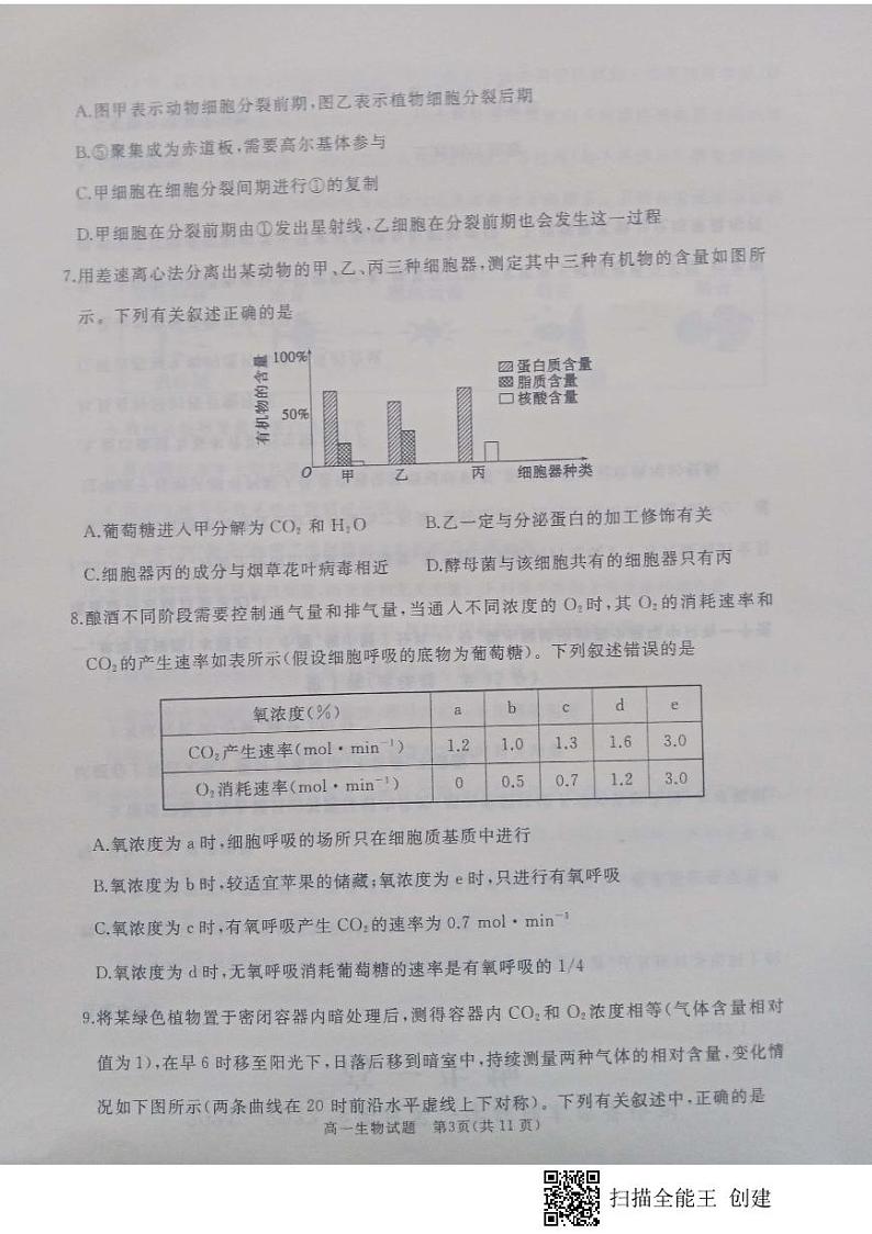 山东省枣庄滕州市2021-2022学年高一上学期期末考试生物试题第3页