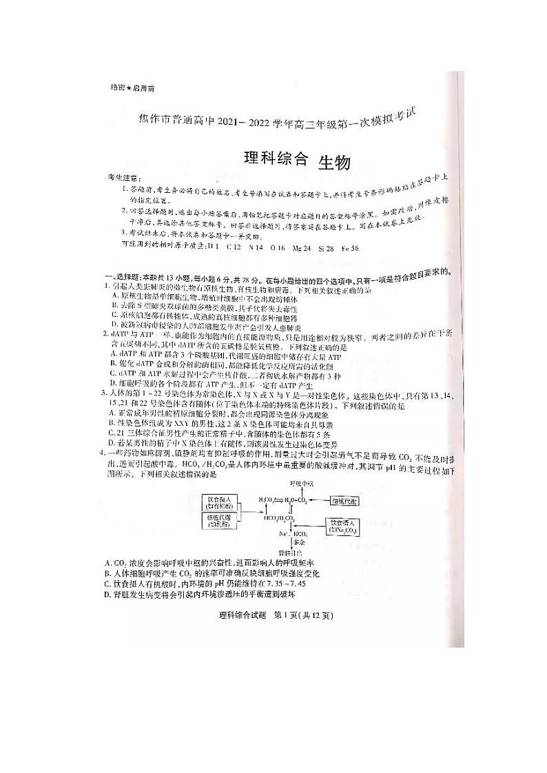焦作市普通高中2022届高三年级第一次模拟考试（一模）理科综合生物试卷含答案01