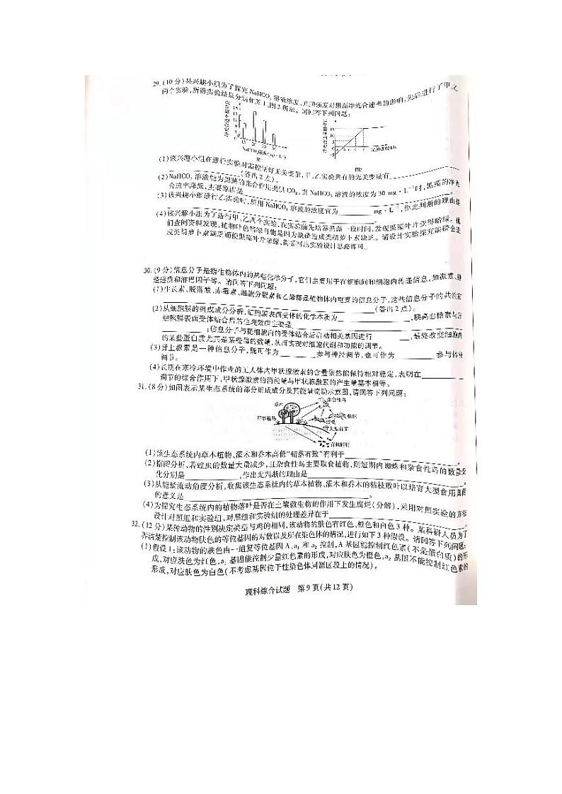 焦作市普通高中2022届高三年级第一次模拟考试（一模）理科综合生物试卷含答案03