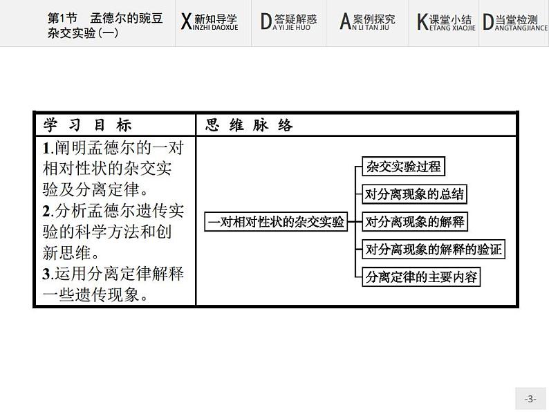 高中生物 孟德尔的豌豆杂交实验（一）新人教版必修2讲义课件PPT03