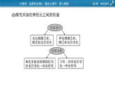 2021-2022学年高中生物新人教版选择性必修1 第2章　神经调节 微专题2 反射弧中兴奋传导特点的实验探究 课件（22张）