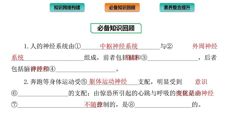 2021-2022学年高中生物新人教版选择性必修1  第2章 神经调节 章末总结 课件（40张）第3页