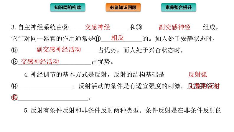 2021-2022学年高中生物新人教版选择性必修1  第2章 神经调节 章末总结 课件（40张）第4页