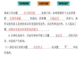 2021-2022学年高中生物新人教版选择性必修1  第2章 神经调节 章末总结 课件（40张）