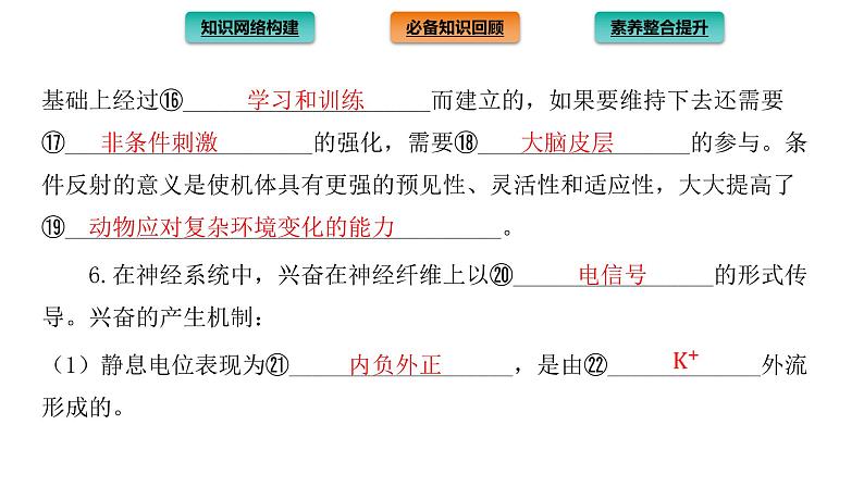 2021-2022学年高中生物新人教版选择性必修1  第2章 神经调节 章末总结 课件（40张）第5页