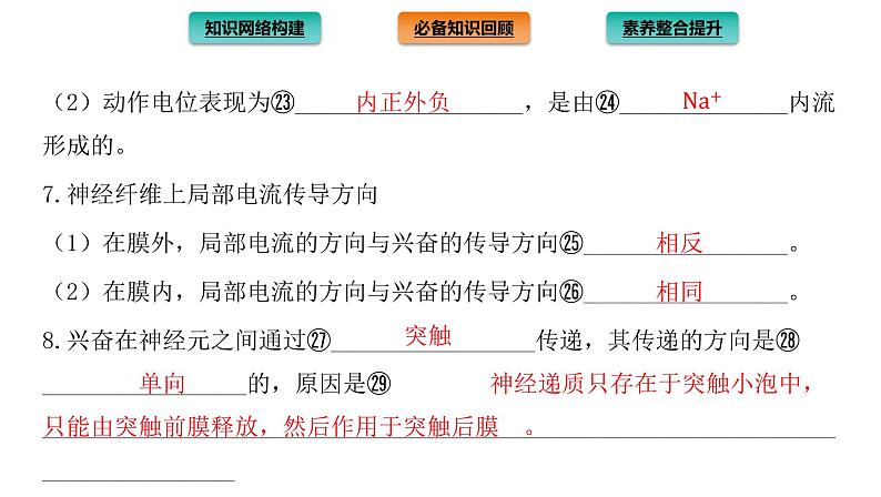 2021-2022学年高中生物新人教版选择性必修1  第2章 神经调节 章末总结 课件（40张）第6页