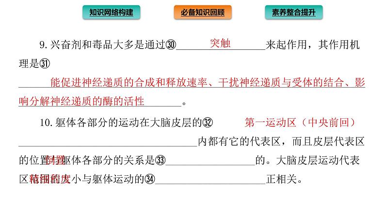 2021-2022学年高中生物新人教版选择性必修1  第2章 神经调节 章末总结 课件（40张）第7页