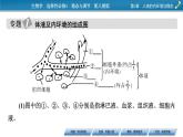 2021-2022学年高中生物新人教版选择性必修1 第1章 人体的内环境与稳态 章末总结 课件（32张）