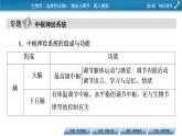 2021-2022学年高中生物新人教版选择性必修1 第2章 神经调节 章末总结 课件（33张）