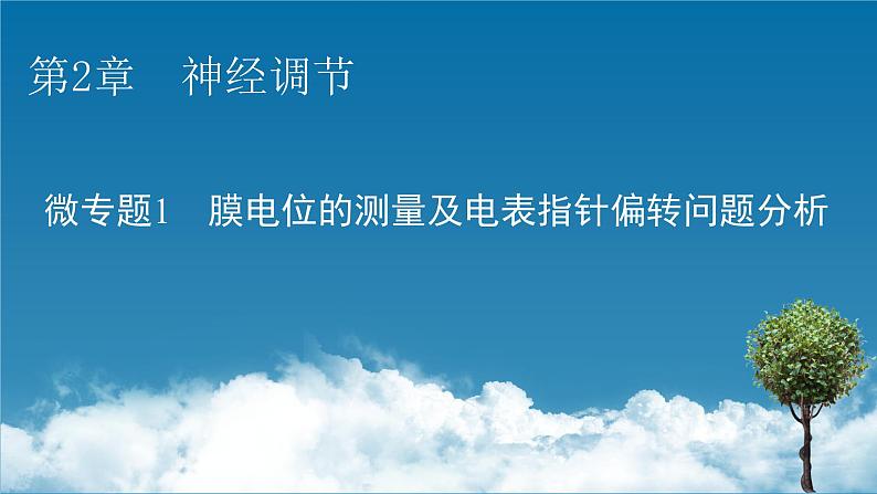 2021-2022学年高中生物新人教版选择性必修1 第2章　神经调节 微专题1 膜电位的测量及电表指针偏转问题分析 课件（23张）第1页