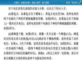 2021-2022学年高中生物新人教版选择性必修1 第2章　神经调节 微专题1 膜电位的测量及电表指针偏转问题分析 课件（23张）