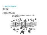 2021-2022学年高中生物新人教版选择性必修1  第2章 微专题1 膜电位变化曲线图分析与神经调节相关的实验探究 课件（31张）