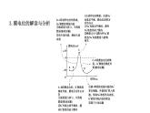 2021-2022学年高中生物新人教版选择性必修1  第2章 微专题1 膜电位变化曲线图分析与神经调节相关的实验探究 课件（31张）