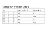 2021-2022学年高中生物新人教版选择性必修1  第2章 微专题1 膜电位变化曲线图分析与神经调节相关的实验探究 课件（31张）