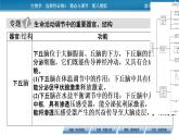 2021-2022学年高中生物新人教版选择性必修1  第3章 体液调节 章末总结 课件（34张）