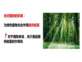 2021-2022学年高中生物新人教版选择性必修1  第5章 第4节 环境因素参与植物生命活动调节 课件（29张）