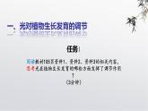 2021-2022学年高中生物新人教版选择性必修1  第5章 第4节 环境因素参与植物生命活动调节 课件（29张）